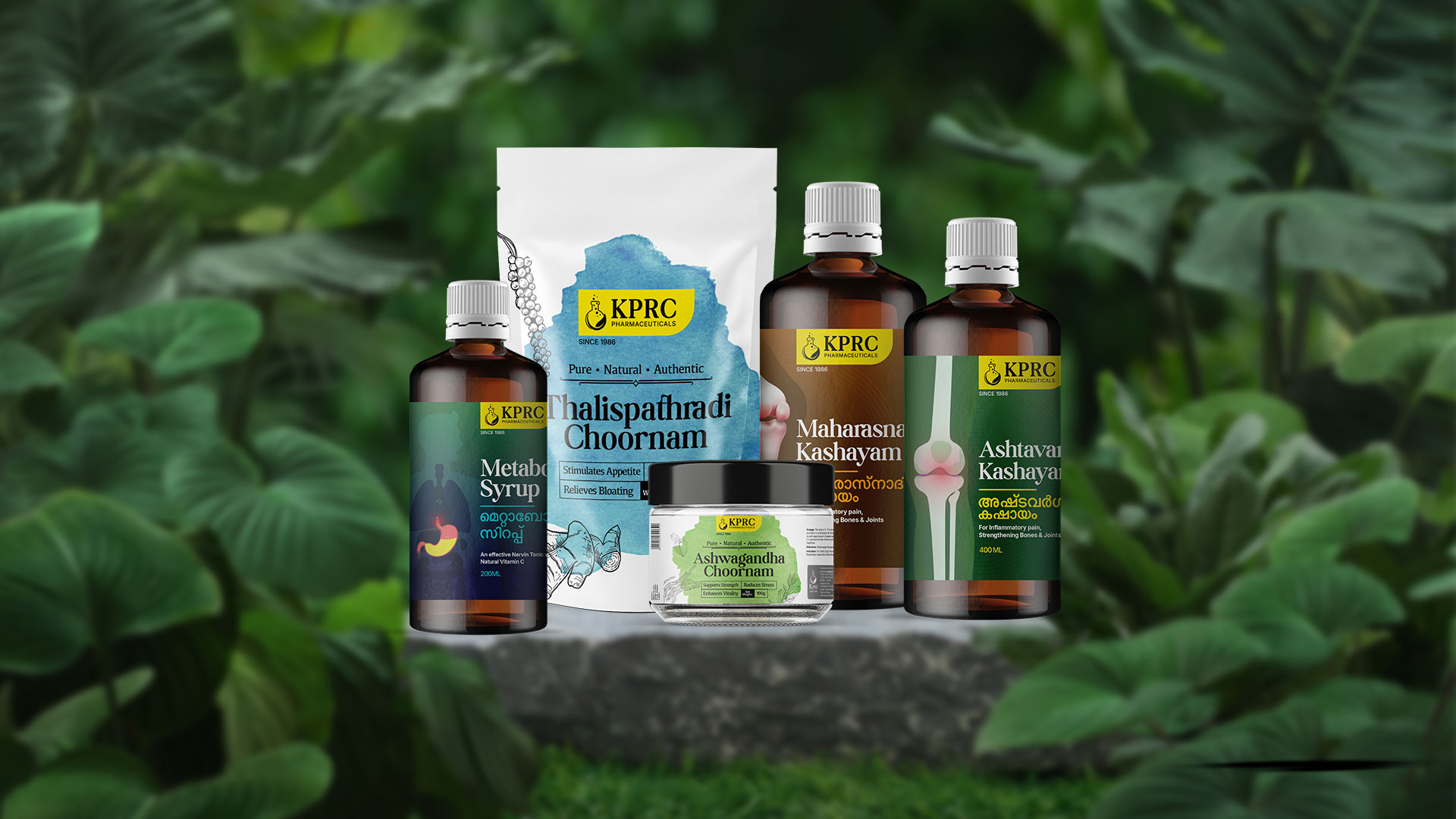 Ayurvedic Medicine in Daily Life | Natural Health & Wellness Tips